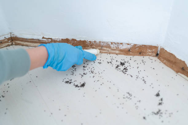 Best Mosquito Control Services  in Schuylkill Haven, PA