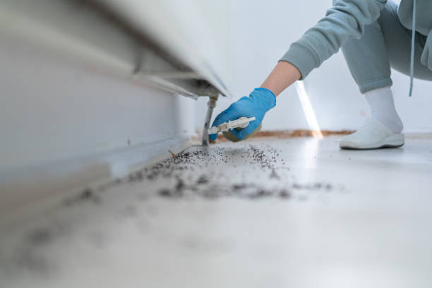 Best Pest Prevention Services  in Schuylkill Haven, PA